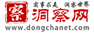 洞察評論網logo